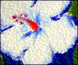 SN-12-0015-HB.tif